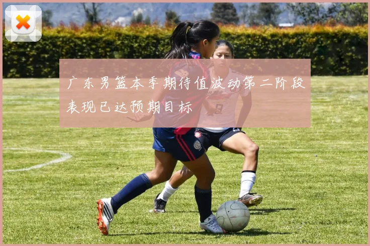 广东男篮本季期待值波动第二阶段表现已达预期目标